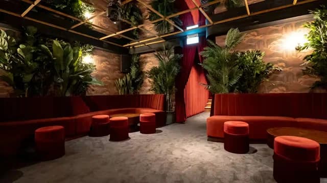 Speed Dating at Mimosa Clapham
