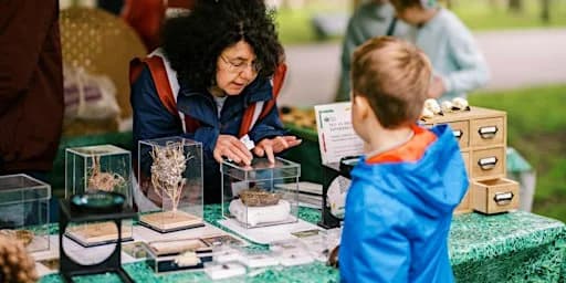 Brompton Cemetery Nature Roadshow