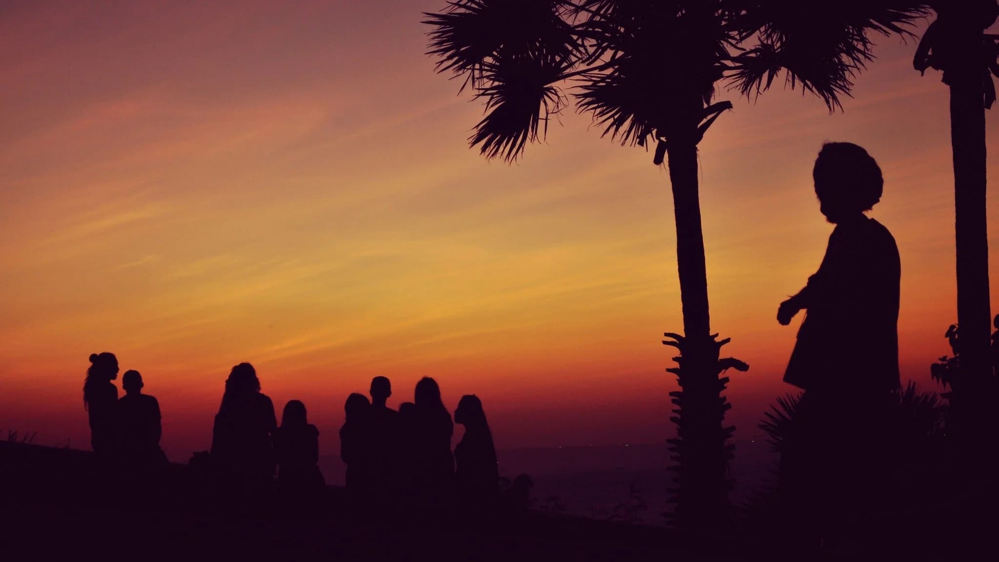DJ Nights: The Caribbean One Love Dinner & After-Party with Saxon Sound