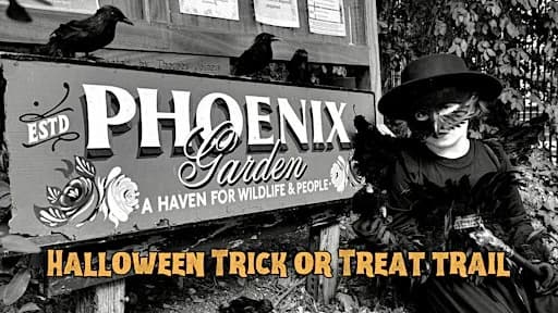 Halloween Trick or Treat Trail in Covent Garden