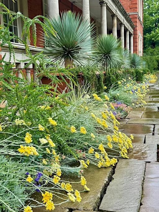 The Royal Parks: Gardening for People and Planet